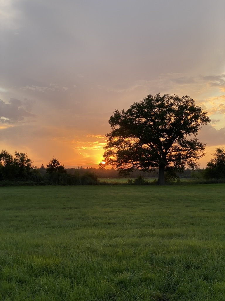 Landschaft